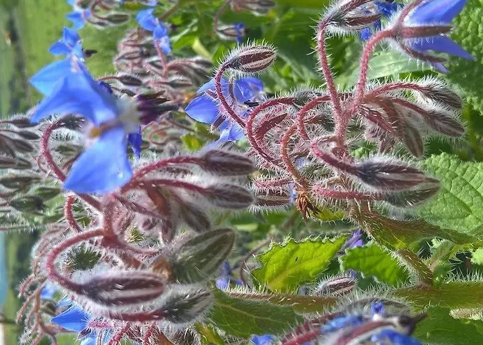 招待所 Antonhouse 3*