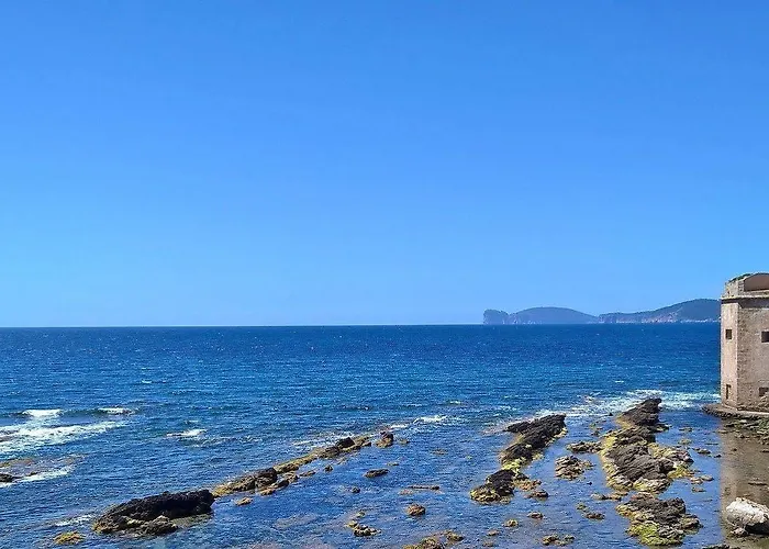 Antonhouse 阿尔盖罗