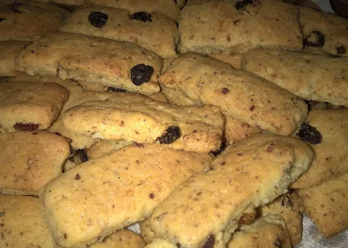 Antonhouse 阿尔盖罗