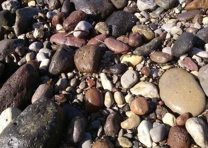 招待所 Antonhouse