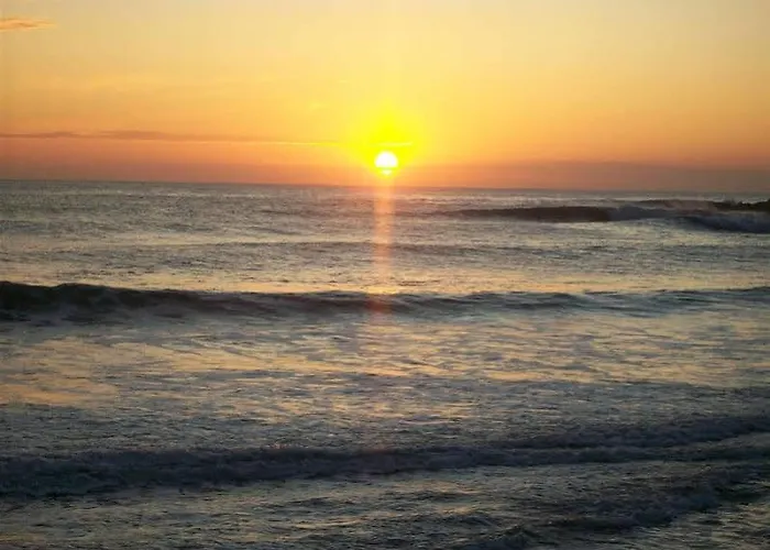 Antonhouse 阿尔盖罗